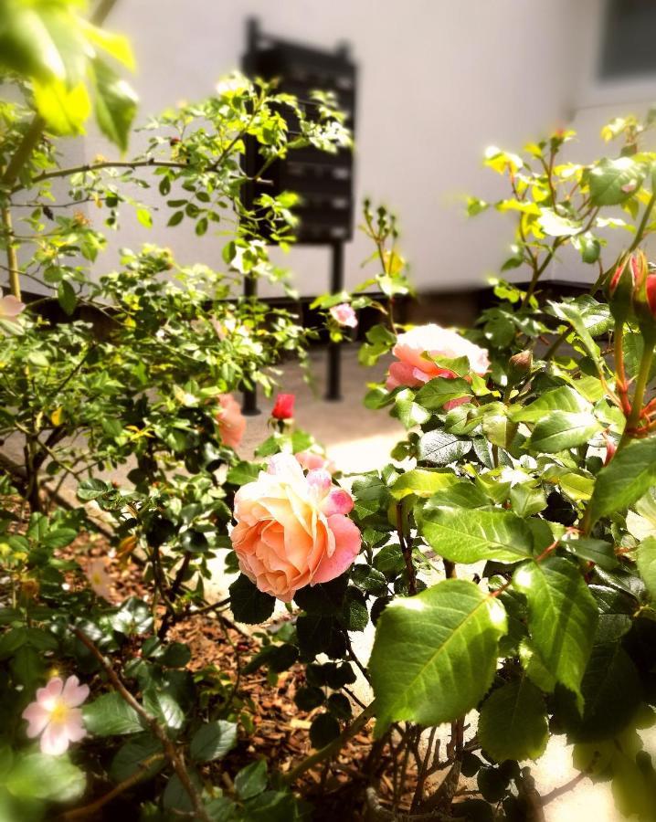 4-Zimmer Haus In Leipzig Ngoại thất bức ảnh